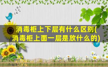 消毒柜上下层有什么区别(消毒柜上面一层是放什么的)
