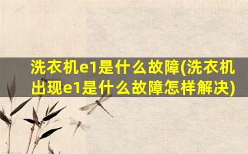 洗衣机e1是什么故障(洗衣机出现e1是什么故障怎样解决)