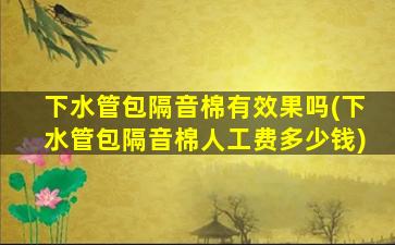 下水管包隔音棉有效果吗(下水管包隔音棉人工费多少钱)