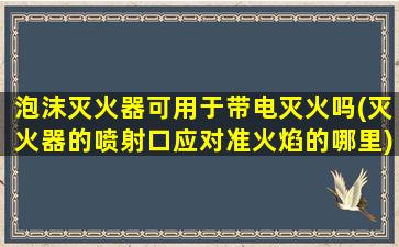 泡沫灭火器可用于带电灭火吗(灭火器的喷射口应对准火焰的哪里)