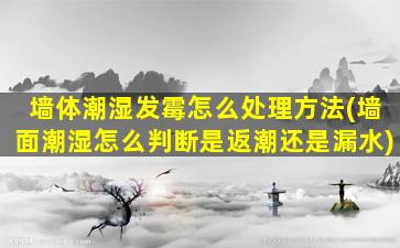 墙体潮湿发霉怎么处理方法(墙面潮湿怎么判断是返潮还是漏水)