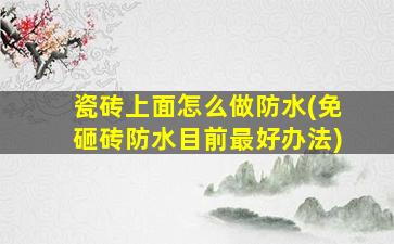 瓷砖上面怎么做防水(免砸砖防水目前最好办法)