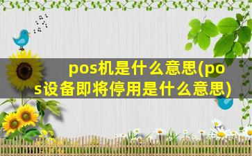 pos机是什么意思(pos设备即将停用是什么意思)