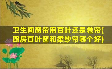 卫生间窗帘用百叶还是卷帘(厨房百叶窗和柔纱帘哪个好)