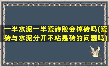 一半水泥一半瓷砖胶会掉砖吗(瓷砖与水泥分开不粘是砖的问题吗)