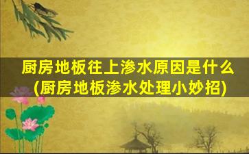 厨房地板往上渗水原因是什么(厨房地板渗水处理小妙招)