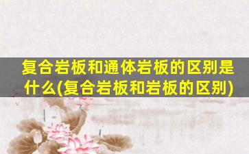 复合岩板和通体岩板的区别是什么(复合岩板和岩板的区别)