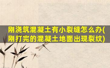 刚浇筑混凝土有小裂缝怎么办(刚打完的混凝土地面出现裂纹)