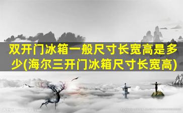 双开门冰箱一般尺寸长宽高是多少(海尔三开门冰箱尺寸长宽高)