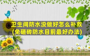 卫生间防水没做好怎么补救(免砸砖防水目前最好办法)