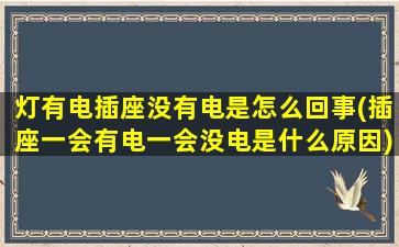 灯有电插座没有电是怎么回事(插座一会有电一会没电是什么原因)