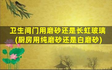 卫生间门用磨砂还是长虹玻璃(厨房用纯磨砂还是白磨砂)