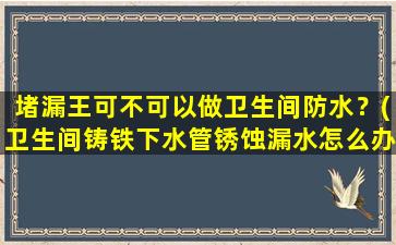 堵漏王可不可以做卫生间防水？(卫生间铸铁下水管锈蚀漏水怎么办)