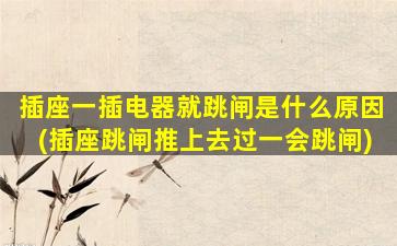 插座一插电器就跳闸是什么原因(插座跳闸推上去过一会跳闸)
