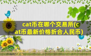 cat币在哪个交易所(cat币最新价格折合人民币)