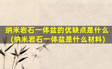 纳米岩石一体盆的优缺点是什么(纳米岩石一体盆是什么材料)