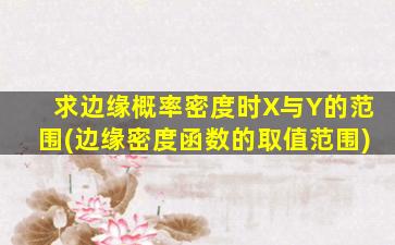 求边缘概率密度时X与Y的范围(边缘密度函数的取值范围)