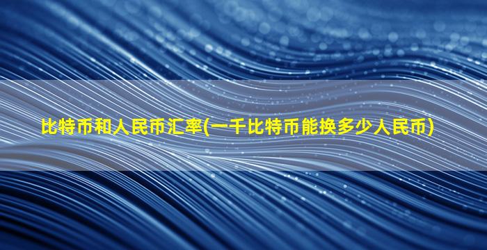 比特币和人民币汇率(一千比特币能换多少人民币)