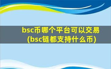 bsc币哪个平台可以交易(bsc链都支持什么币)