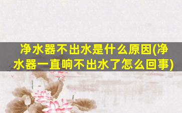 净水器不出水是什么原因(净水器一直响不出水了怎么回事)