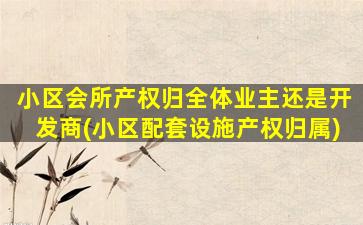 小区会所产权归全体业主还是开发商(小区配套设施产权归属)