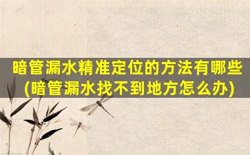 暗管漏水精准定位的方法有哪些(暗管漏水找不到地方怎么办)