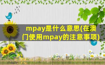 mpay是什么意思(在澳门使用mpay的注意事项)
