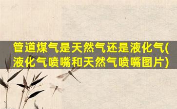 管道煤气是天然气还是液化气(液化气喷嘴和天然气喷嘴图片)