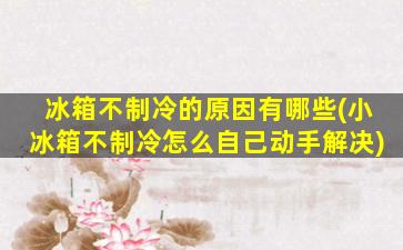 冰箱不制冷的原因有哪些(小冰箱不制冷怎么自己动手解决)