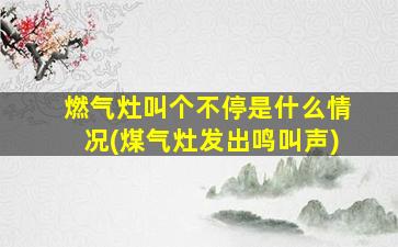 燃气灶叫个不停是什么情况(煤气灶发出鸣叫声)