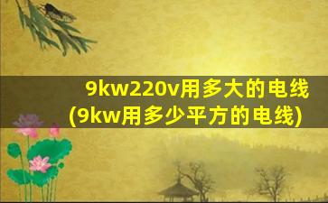 9kw220v用多大的电线(9kw用多少平方的电线)