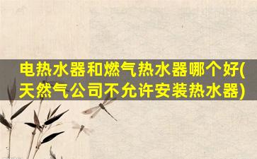 电热水器和燃气热水器哪个好(天然气公司不允许安装热水器)