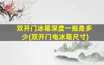 双开门冰箱深度一般是多少(双开门电冰箱尺寸)
