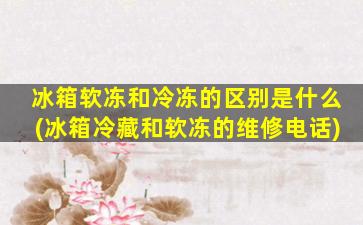 冰箱软冻和冷冻的区别是什么(冰箱冷藏和软冻的维修电话)