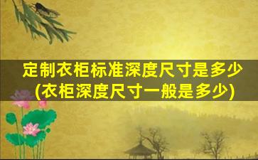 定制衣柜标准深度尺寸是多少(衣柜深度尺寸一般是多少)