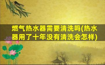 燃气热水器需要清洗吗(热水器用了十年没有清洗会怎样)