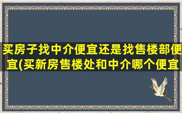 买房子找中介便宜还是找售楼部便宜(买新房售楼处和中介哪个便宜)