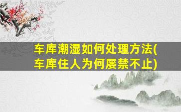 车库潮湿如何处理方法(车库住人为何屡禁不止)