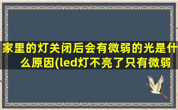 家里的灯关闭后会有微弱的光是什么原因(led灯不亮了只有微弱的光)