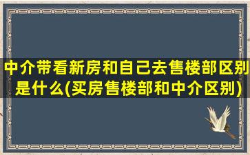 中介带看新房和自己去售楼部区别是什么(买房售楼部和中介区别)