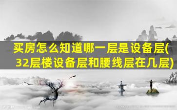 买房怎么知道哪一层是设备层(32层楼设备层和腰线层在几层)