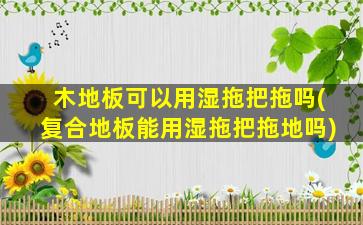 木地板可以用湿拖把拖吗(复合地板能用湿拖把拖地吗)