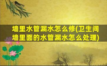 墙里水管漏水怎么修(卫生间墙里面的水管漏水怎么处理)