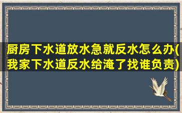 厨房下水道放水急就反水怎么办(我家下水道反水给淹了找谁负责)