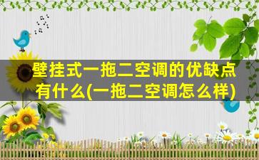 壁挂式一拖二空调的优缺点有什么(一拖二空调怎么样)