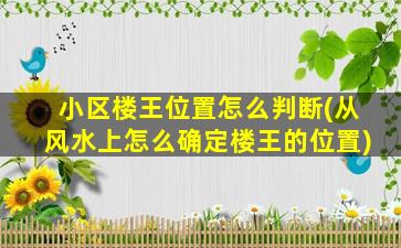小区楼王位置怎么判断(从风水上怎么确定楼王的位置)