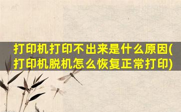 打印机打印不出来是什么原因(打印机脱机怎么恢复正常打印)