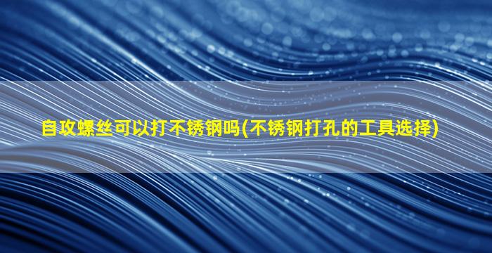 自攻螺丝可以打不锈钢吗(不锈钢打孔的工具选择)