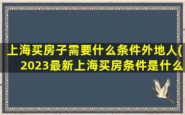 上海买房子需要什么条件外地人(2023最新上海买房条件是什么)