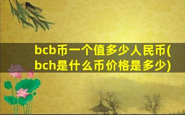 bcb币一个值多少人民币(bch是什么币价格是多少)